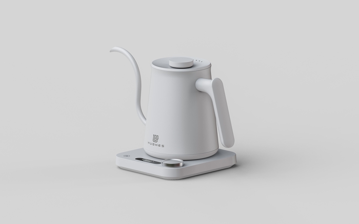Electric Kettle with Temperature Control Base