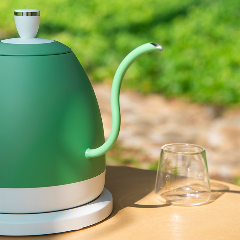 Gooseneck Water Kettle