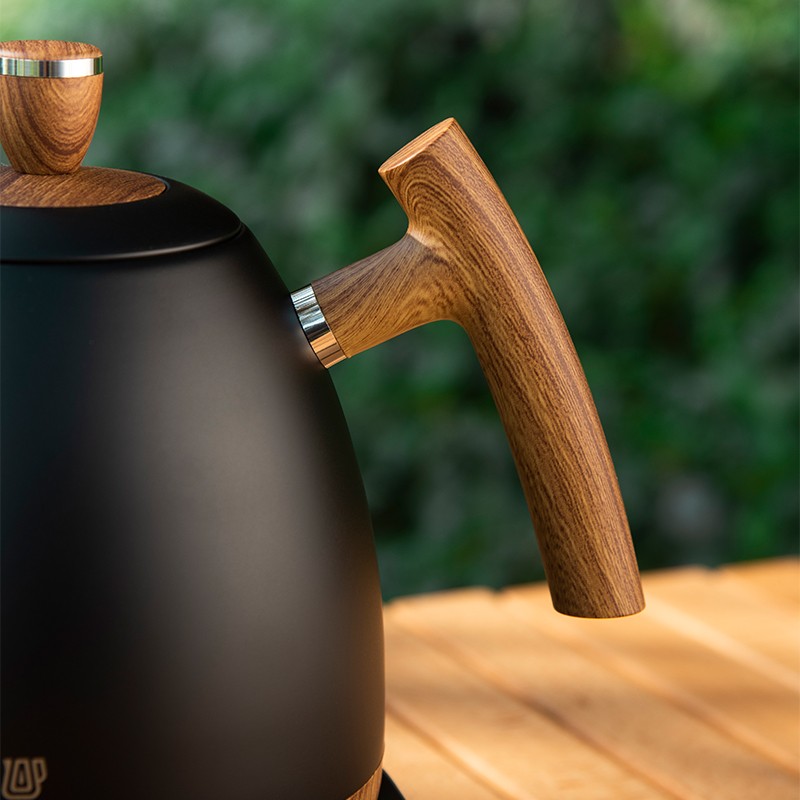 Electric Gooseneck Kettle With Temperature Control