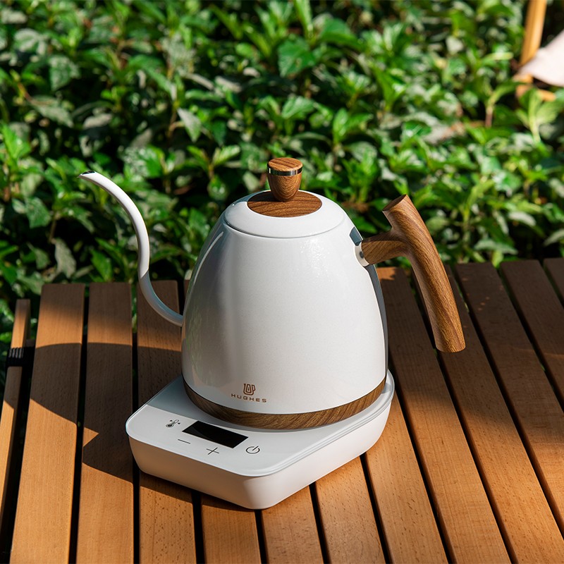 Electric Gooseneck Kettle With Temperature Control