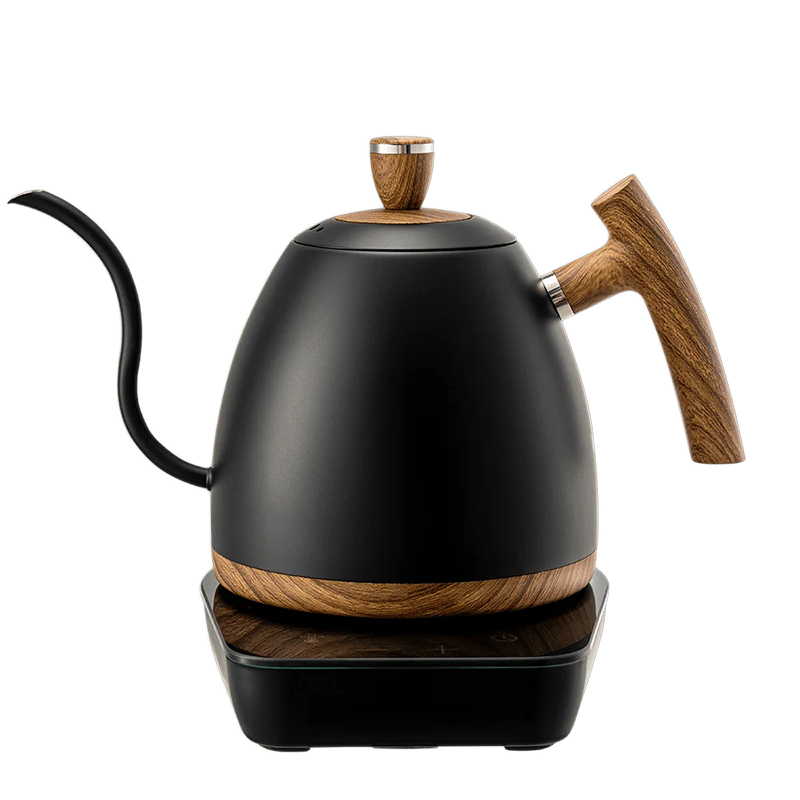 Electric Gooseneck Kettle With Temperature Control