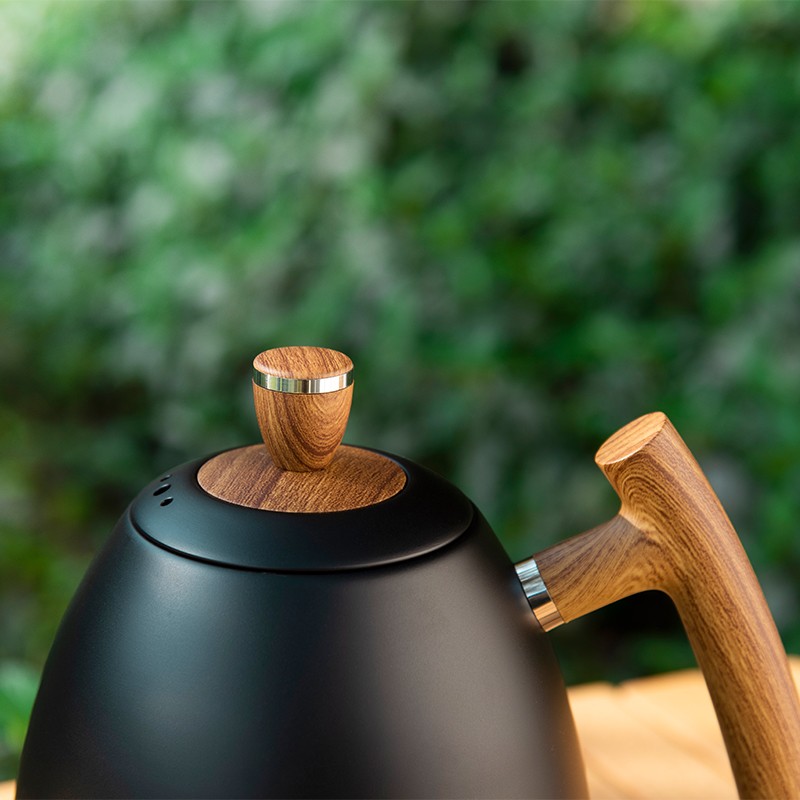 Electric Gooseneck Kettle With Temperature Control