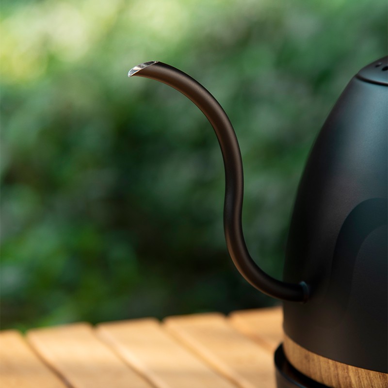 Electric Gooseneck Kettle With Temperature Control
