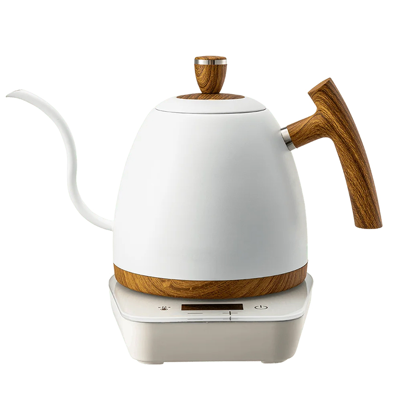 Electric Gooseneck Kettle With Temperature Control