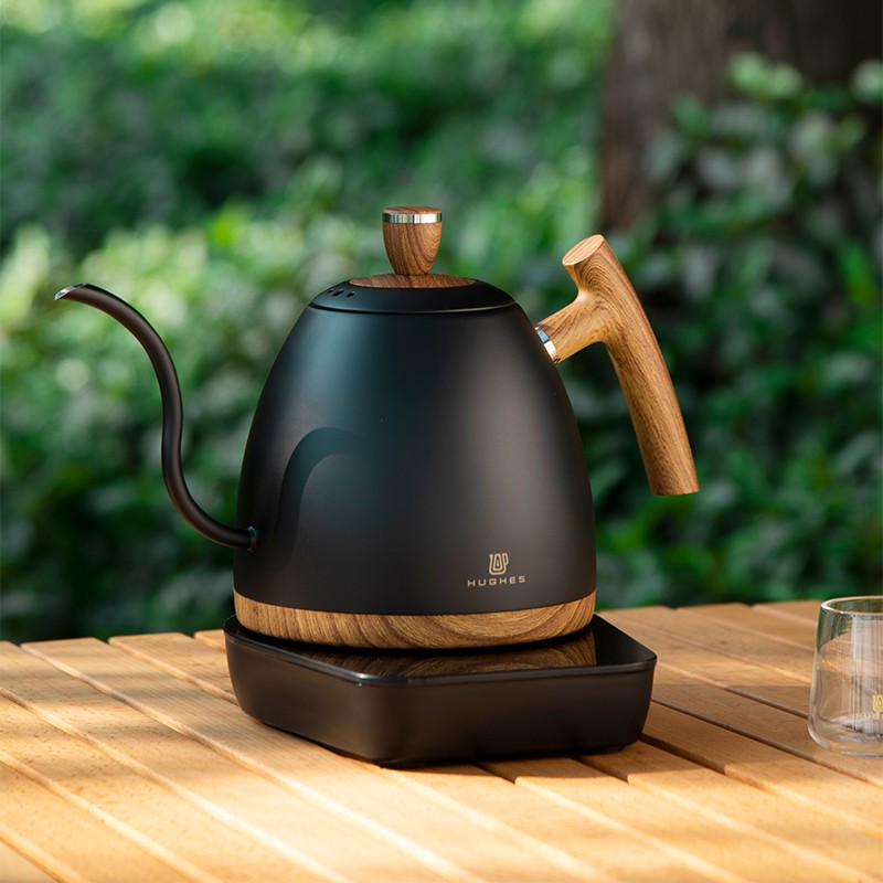 Electric Gooseneck Kettle With Temperature Control