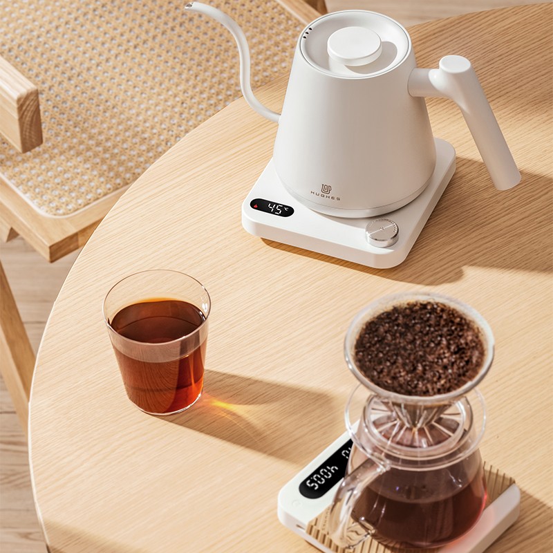 Gooseneck Electric Kettle With Temperature Control