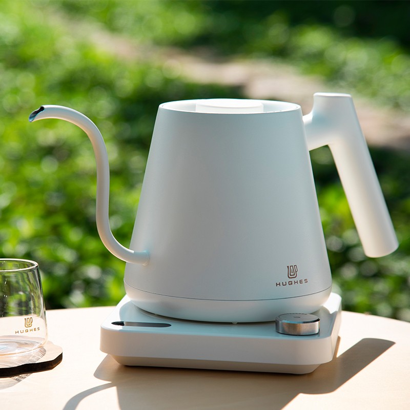 Gooseneck Electric Kettle With Temperature Control