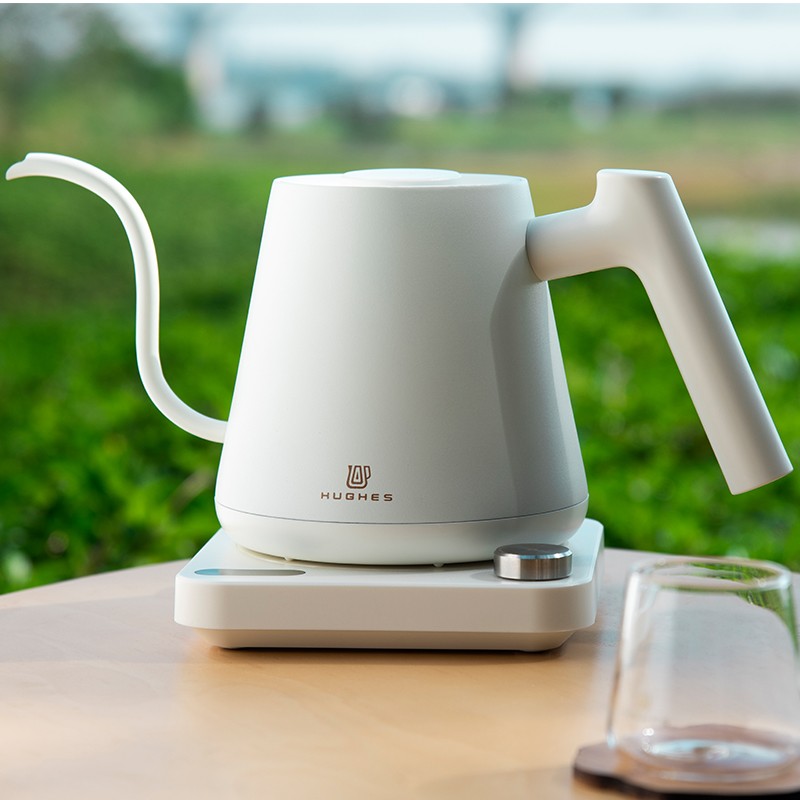 Gooseneck Electric Kettle With Temperature Control