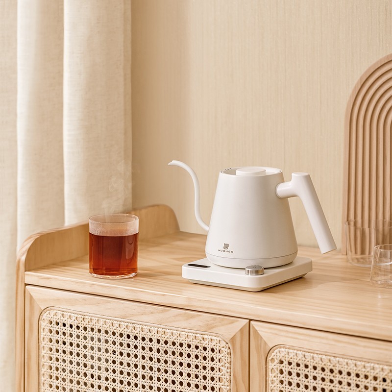 Gooseneck Electric Kettle With Temperature Control