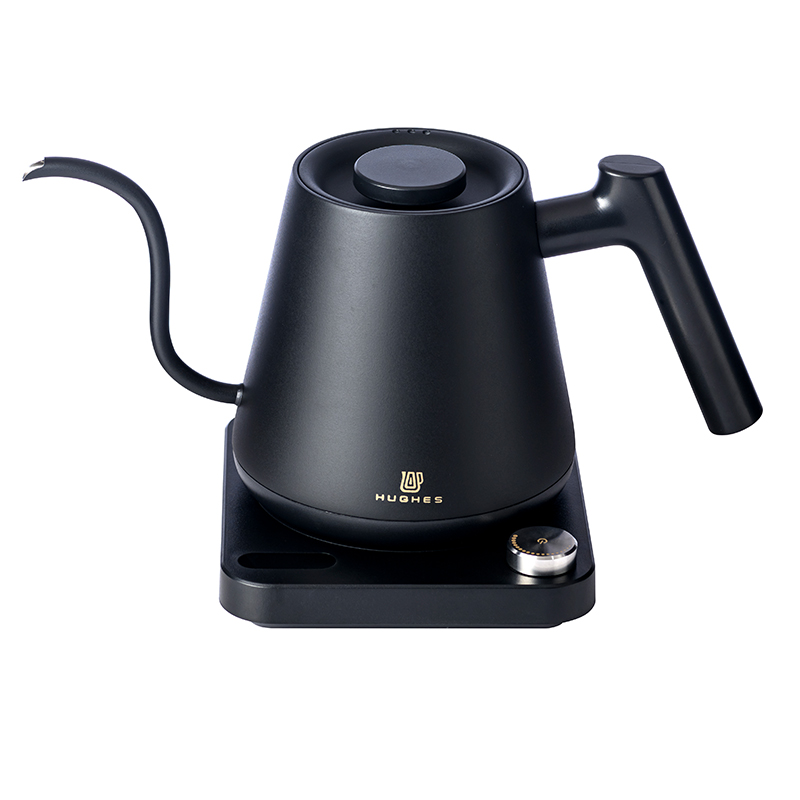 Gooseneck Electric Kettle With Temperature Control