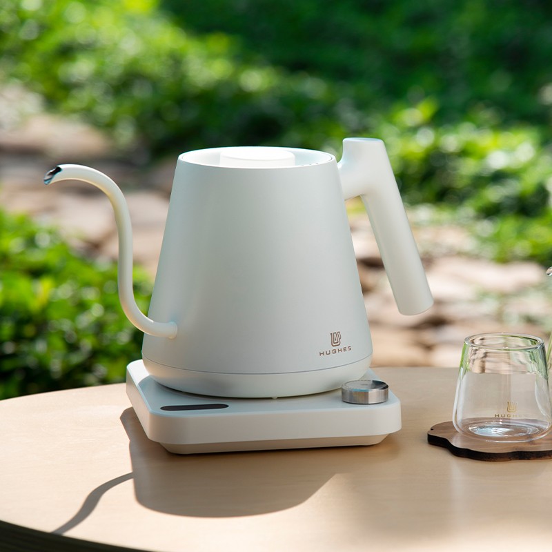 Gooseneck Electric Kettle With Temperature Control