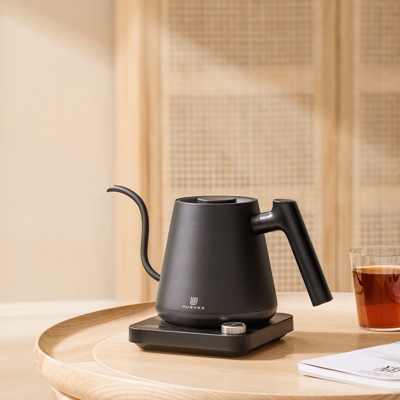 Gooseneck Electric Kettle With Temperature Control