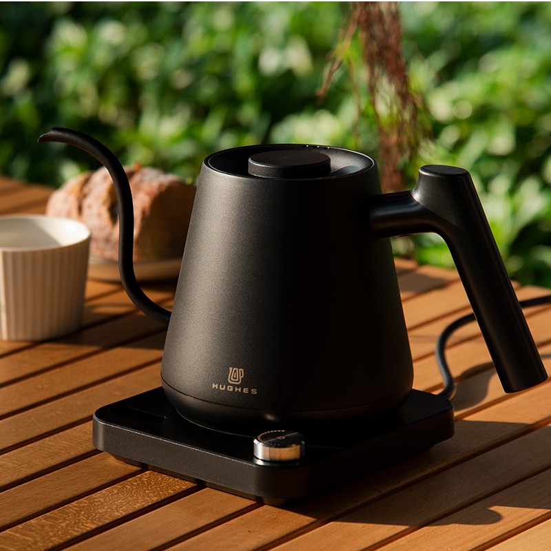 Gooseneck Electric Kettle With Temperature Control