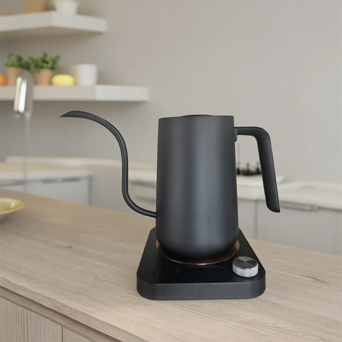 Gooseneck Temperature Control Kettle