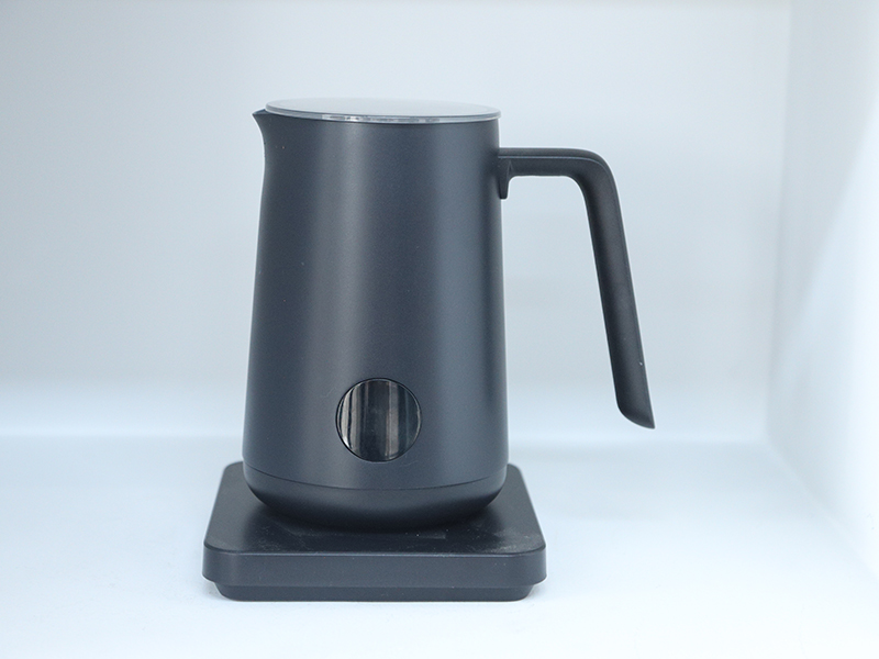 Color Painting Milk Frother